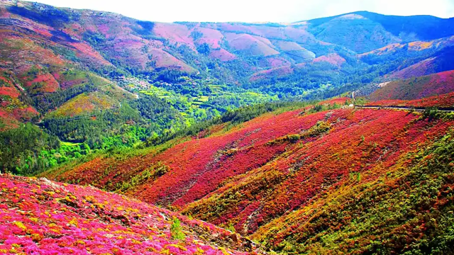 Montanhas Mágicas
